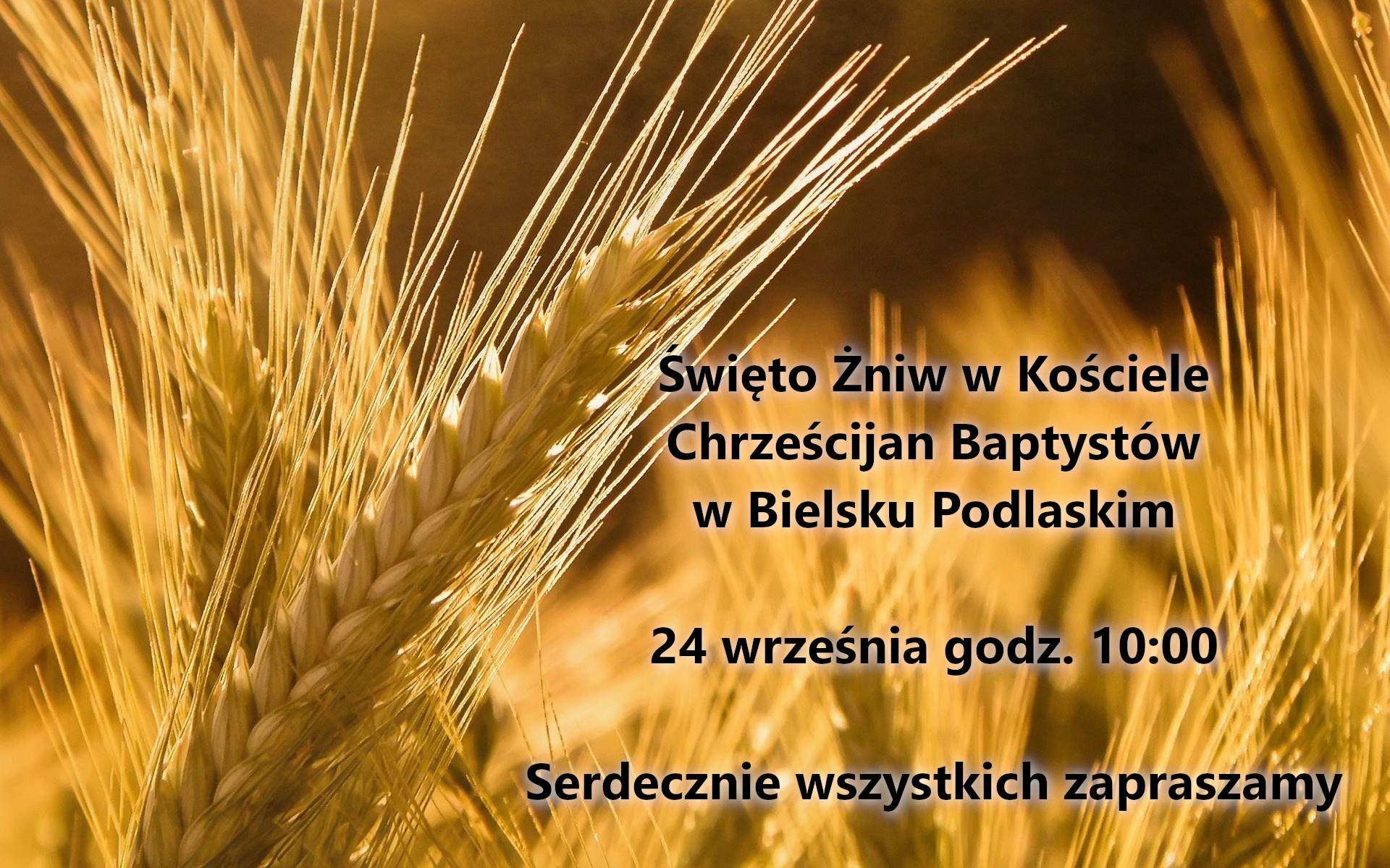 Święto Żniw w Kościele Chrześcijan Baptystów w Bielsku Podlaskim, 24 września 2023 godzina 10:00. Serdecznie wszystkich zapraszamy.